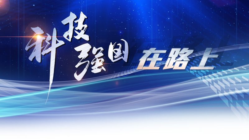 企业数字化平台：揭秘十大品牌背后的技术奥秘